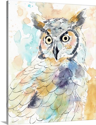 Owl Majestic II