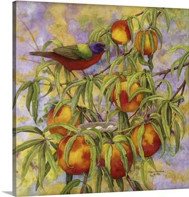 Painted Bunting and Peaches