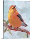 image thumbnail of Painted Songbird III