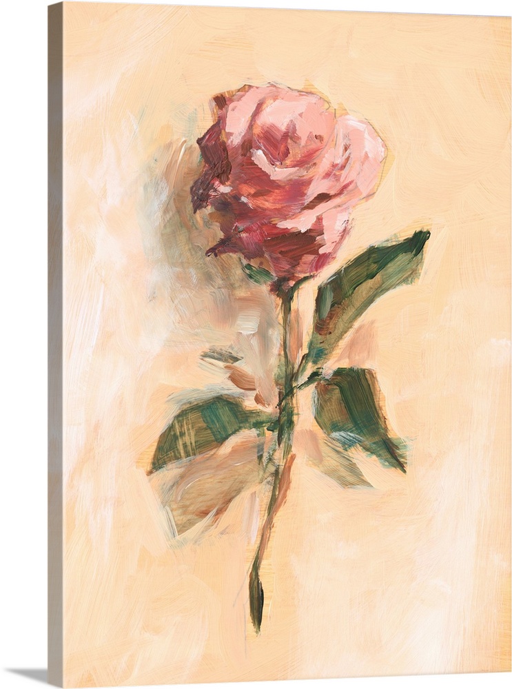 Painterly Rose Study II