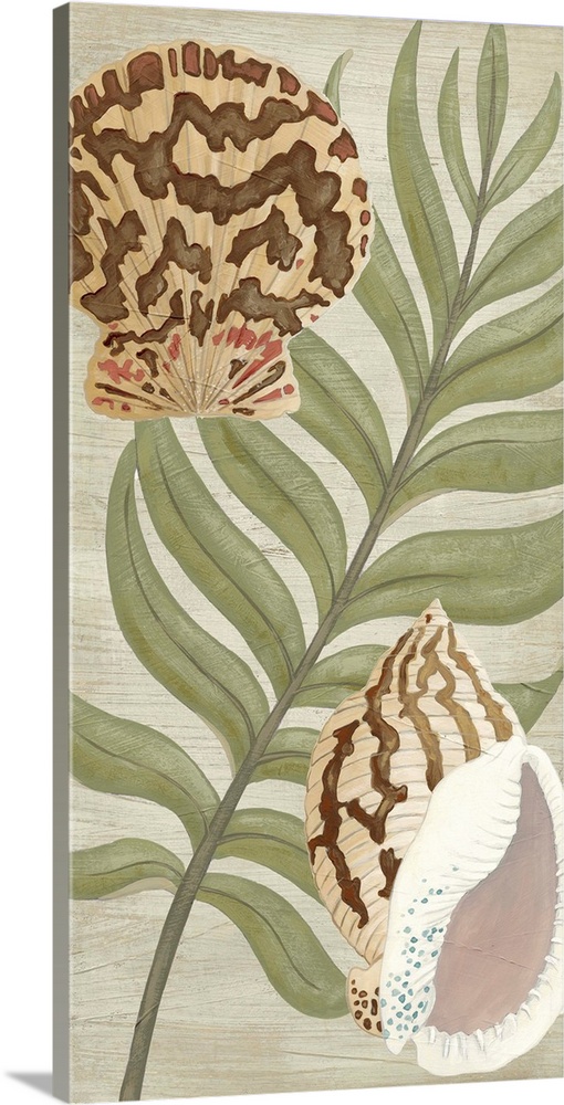 Seashells and palm fronds make a great addition to any beach house decor.