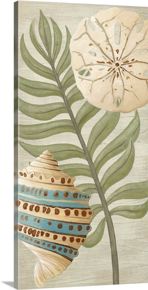 Seashells and palm fronds make a great addition to any beach house decor.