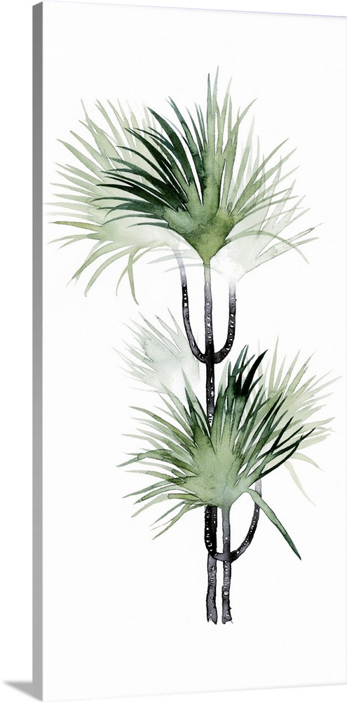 Watercolor artwork of a palm tree with broad green fronds.