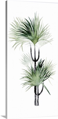 Palm in Watercolor I