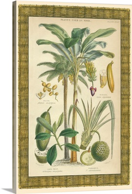 Palms in Bamboo II