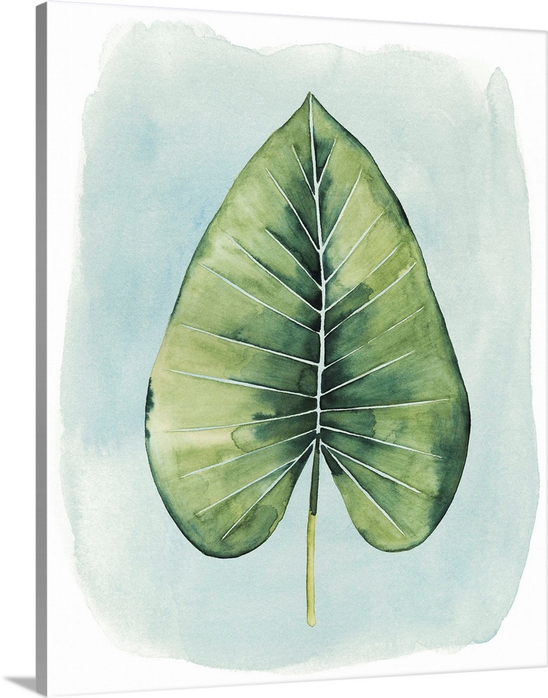 Watercolor artwork of a broad green palm leaf on pale blue.