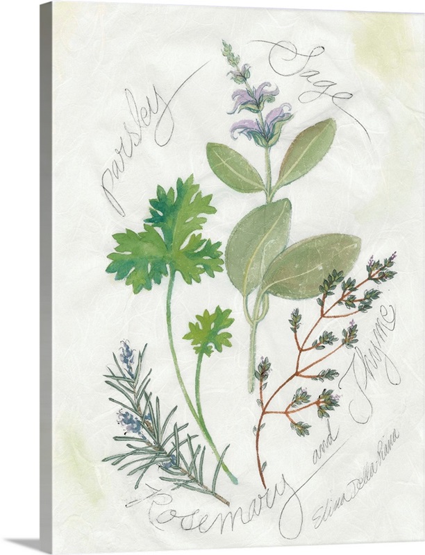 Parsley And Sage Wall Art, Canvas Prints, Framed Prints, Wall Peels