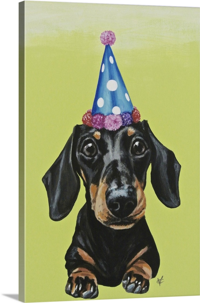Artwork of a black/brown dachshund wearing a party hat, on a lime green background.
