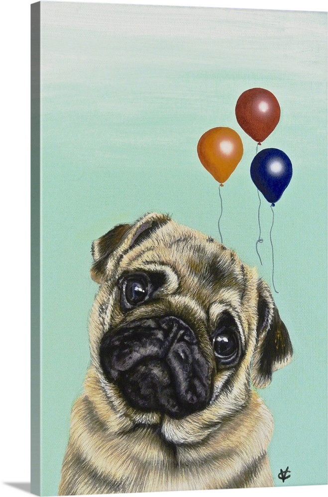 Artwork of a beige pug with party balloons, on a teal background.