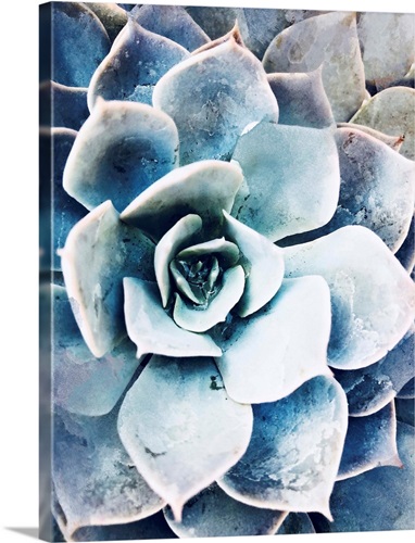lotus flower with seeds KS Lotus Flower Seeds – KS ARTS COLLECTION main image 1