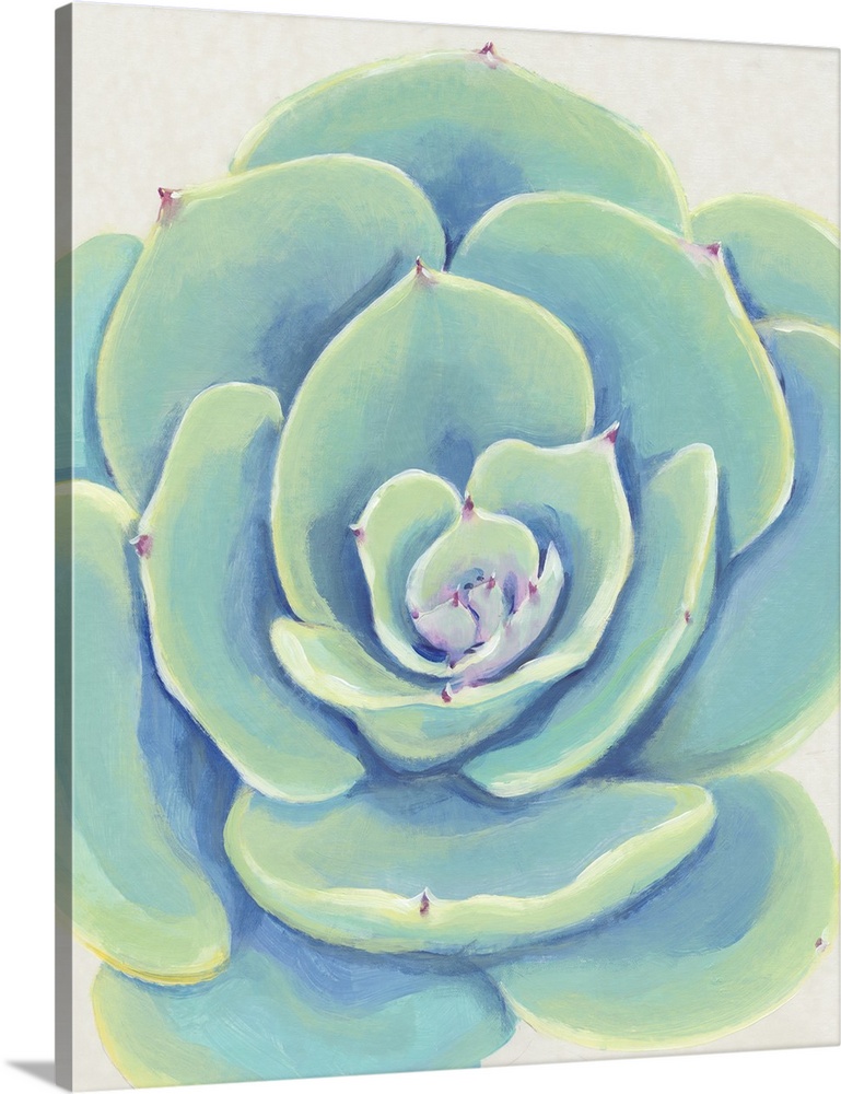 Pastel Succulent IV Wall Art, Canvas Prints, Framed Prints, Wall Peels ...