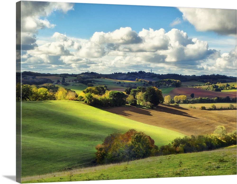 Pastoral Countryside III