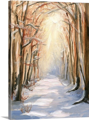 Path In Winter