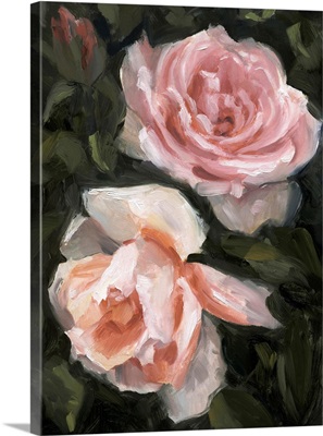 Peachy Roses II