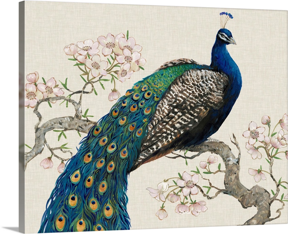 Peacock and Blossoms I