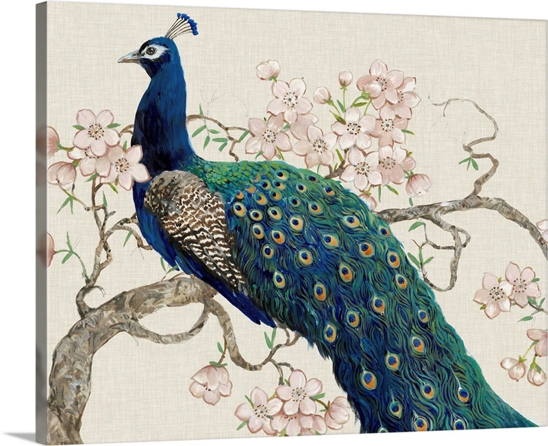 Peacock and Blossoms II | Great Big Canvas