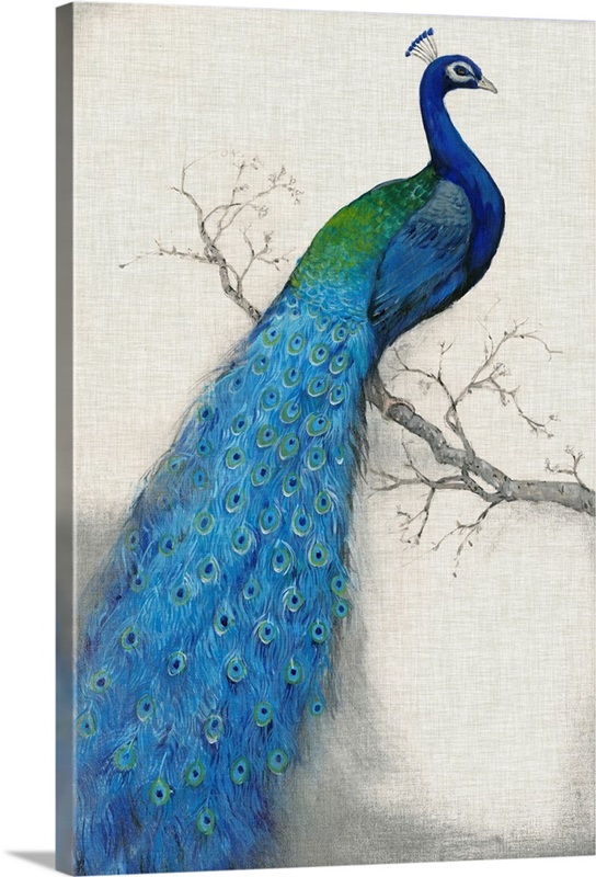 Peacock Blue I Wall Art, Canvas Prints, Framed Prints, Wall Peels ...