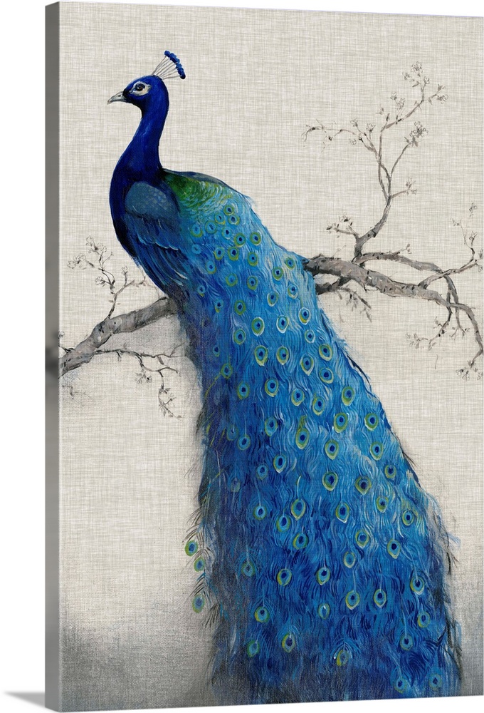Coloured Peacock Canvas Wall Art Picture Print 
