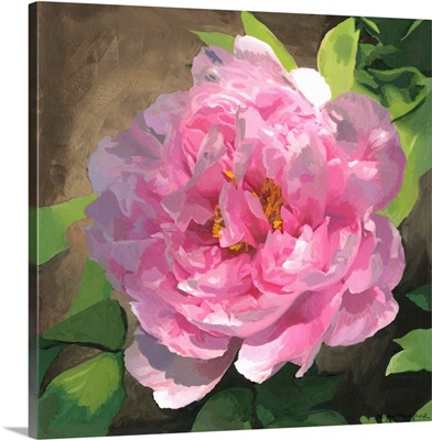 Peony in Pink I