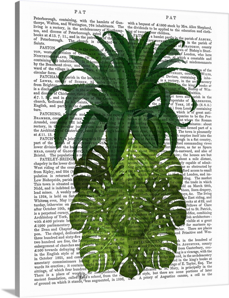 Decorative art of the shape of a pineapple made with tropical leaves painted on the page of a book.