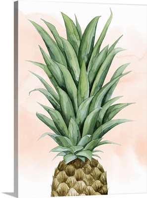 Pineapple on Coral II