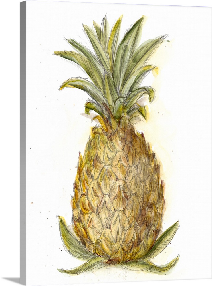 Still life painting of a pineapple on a white background.
