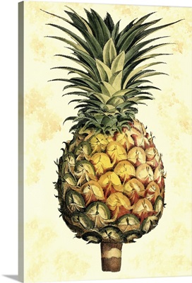 Pineapple Splendor I