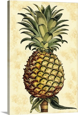 Pineapple Splendor II