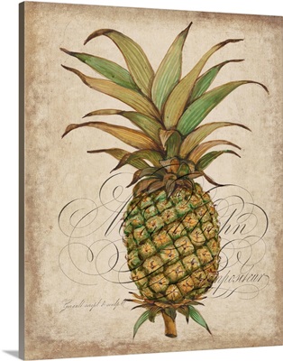 Pineapple Study I