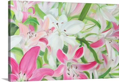 Pink And White Lilies II