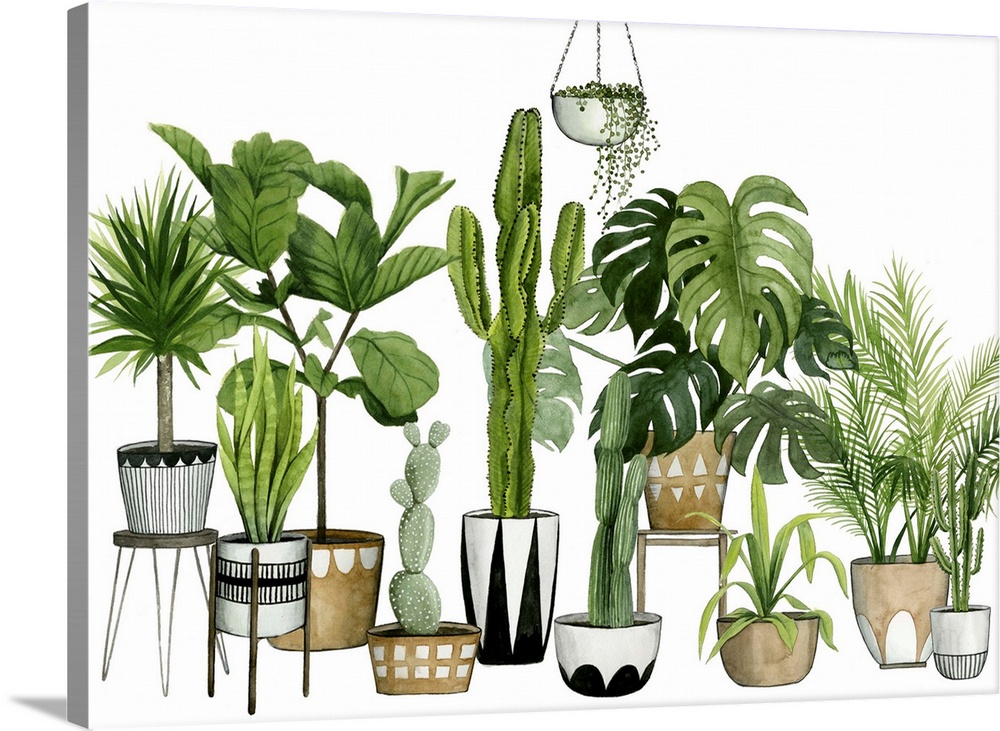 Plant Haven Collection  A