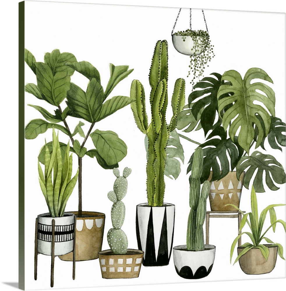 Illustration of a large collection of tropical plants and succulents, including palms and cacti.