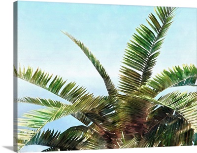 Pleasant Palms I