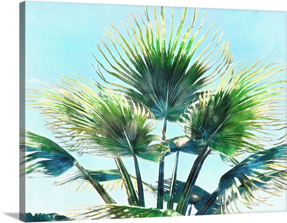 Pleasant Palms II