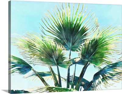 Pleasant Palms II
