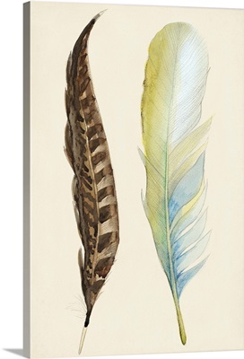 Plumage II