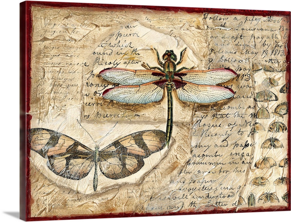 Poetic Dragonfly I