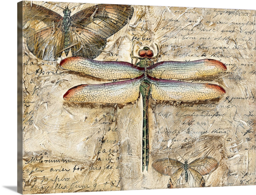 Poetic Dragonfly II