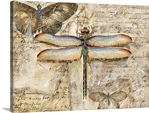 Poetic Dragonfly II image thumbnail