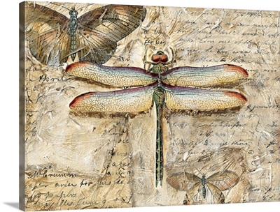 Poetic Dragonfly II