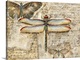 image thumbnail of Poetic Dragonfly II