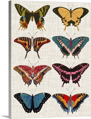 Polychrome Butterflies I