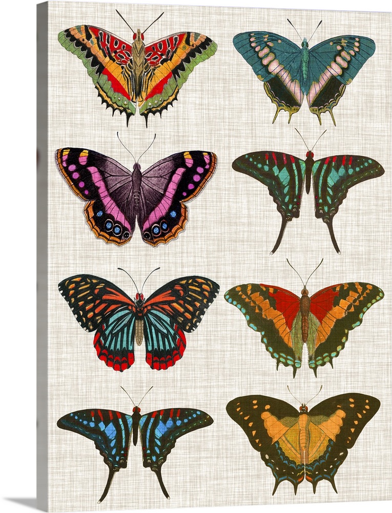 An assortment of butterflies of varying bright colors and patterns on a linen background.
