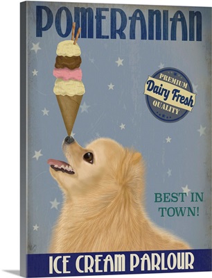 Pomeranian Ice Cream