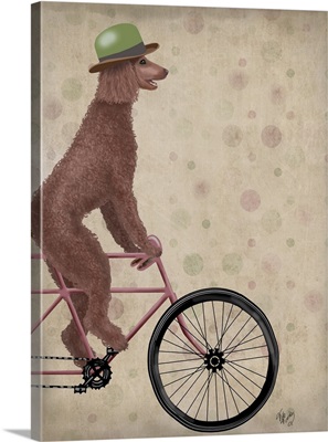 Poodle on Bicycle, Brown