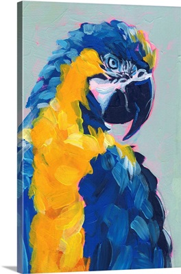 Pop Art Parrot II