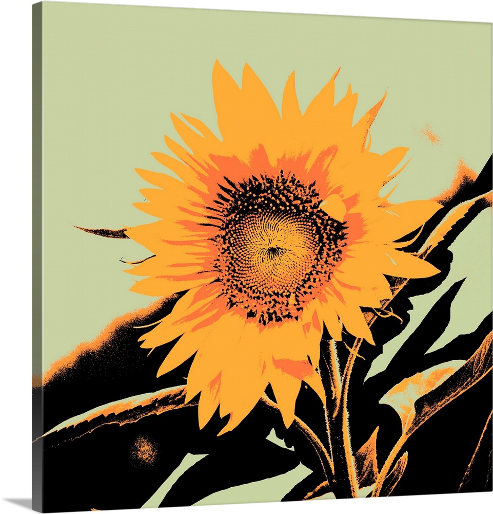 Pop Art Sunflower II