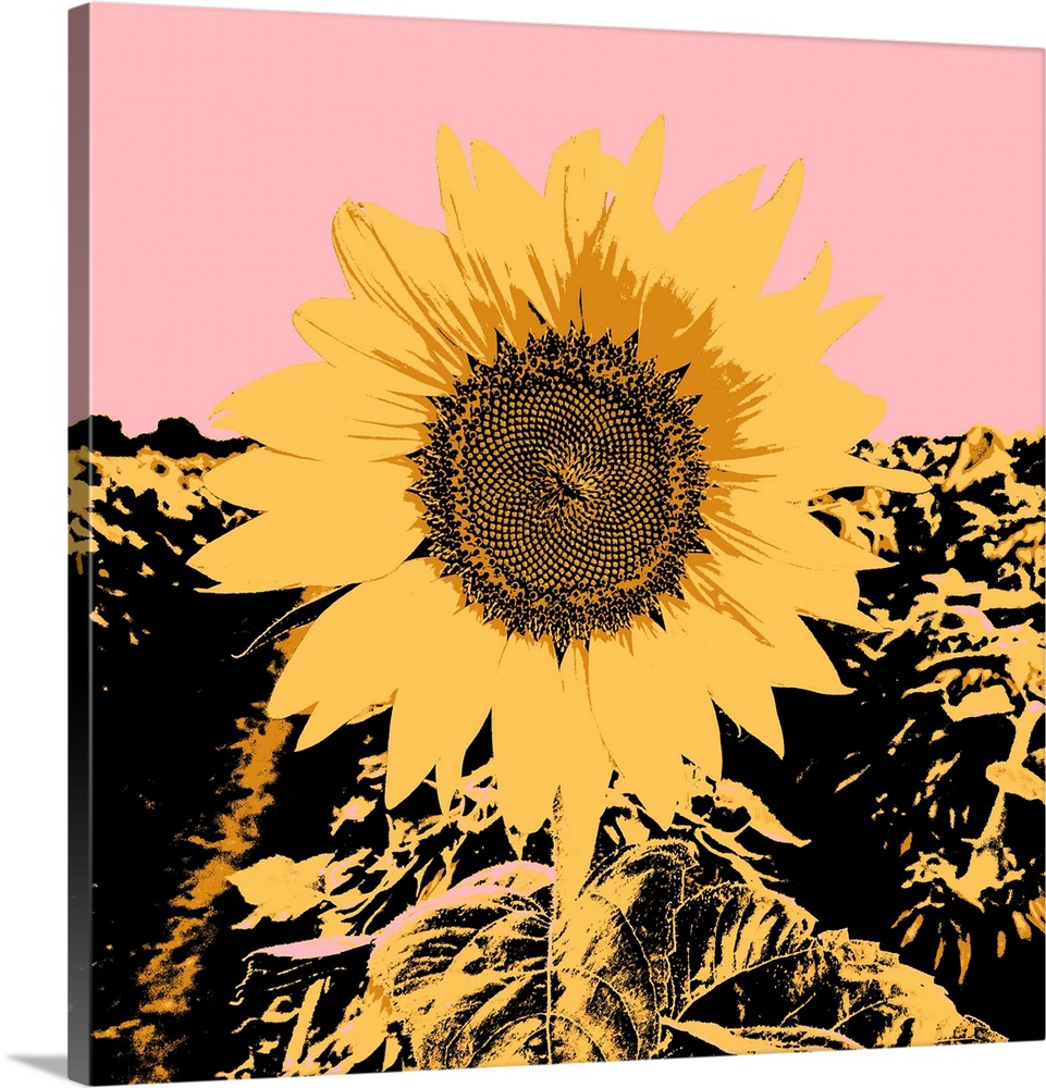 Pop Art Sunflower III
