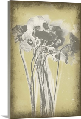 Poppies in Relief III