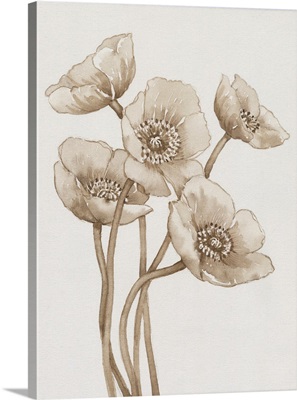 Poppies In Sepia II